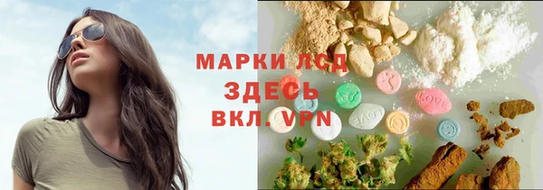 гидра Вязьма