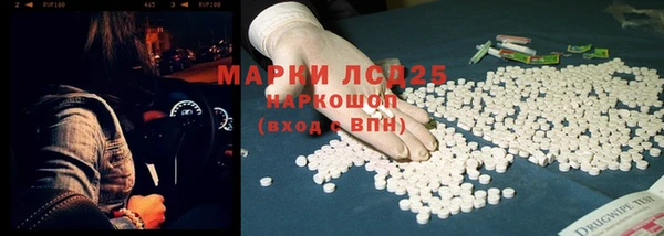 ПСИЛОЦИБИНОВЫЕ ГРИБЫ Вязники