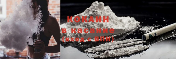 гидра Вязьма