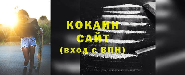 шишки Вяземский
