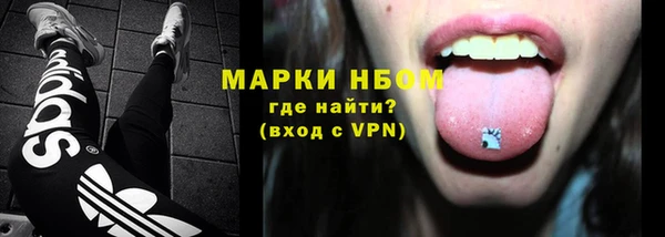 гидра Вязьма