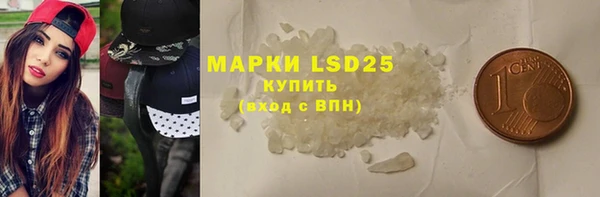 ПСИЛОЦИБИНОВЫЕ ГРИБЫ Вязники