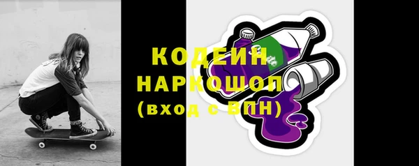 гидра Вязьма