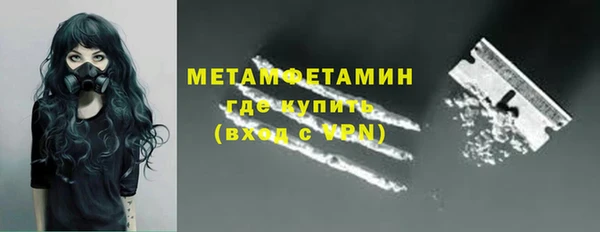 гидра Вязьма