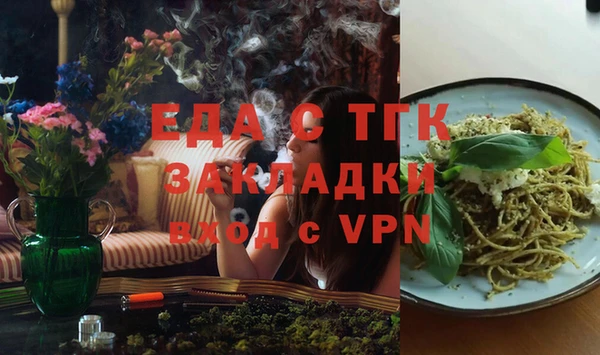 гидра Вязьма
