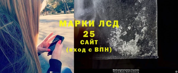 гидра Вязьма