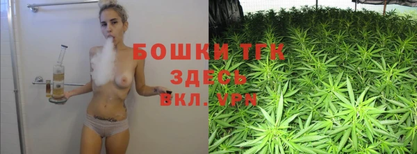 шишки Вяземский