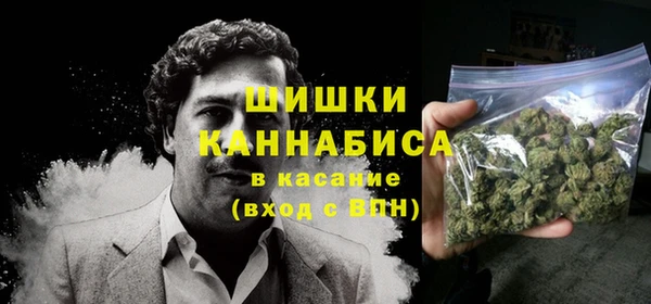 гидра Вязьма