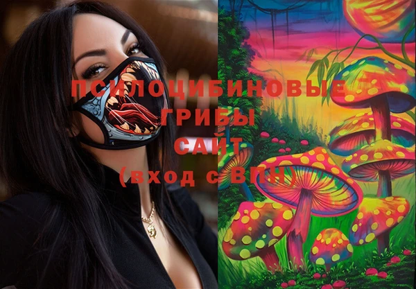 ПСИЛОЦИБИНОВЫЕ ГРИБЫ Вязники
