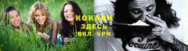 ПСИЛОЦИБИНОВЫЕ ГРИБЫ Вязники