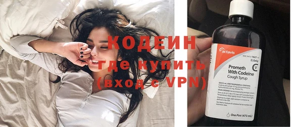гидра Вязьма